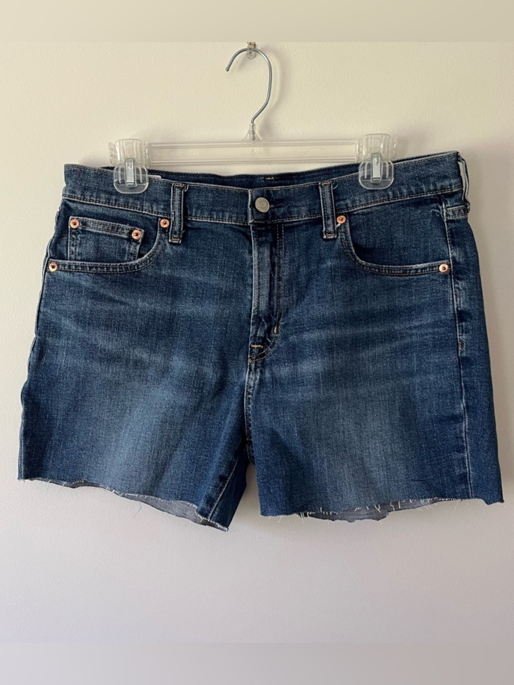GAP Girlfriend Mid-Rise Denim Shorts 30 Medium Wash Raw Hem